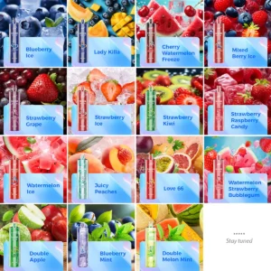 JNR SHISHA HOOKAH 12000 12K Disposable Vape European Warehouse No MOQ Low Nicotine